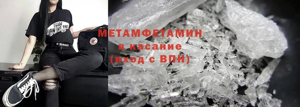 прущие грибы Балабаново