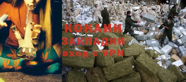 прущие грибы Балабаново
