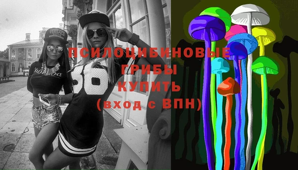 прущие грибы Балабаново