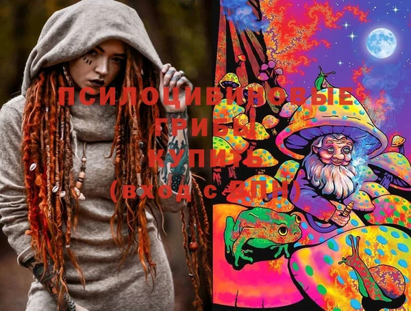 прущие грибы Балабаново