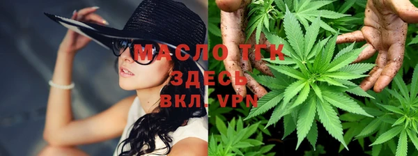 прущие грибы Балабаново