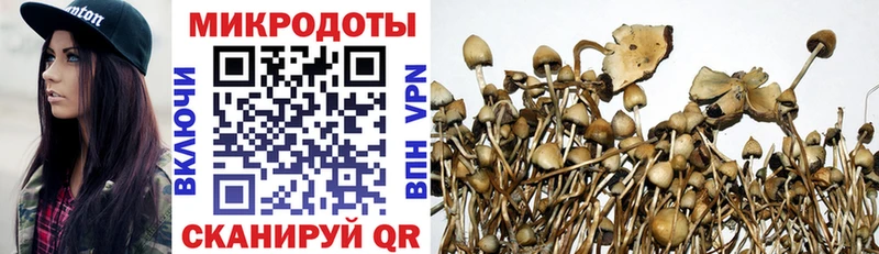 Псилоцибиновые грибы прущие грибы Нязепетровск